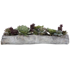 Charita Green Lush Succulents - Ornate Home