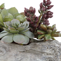 Charita Green Lush Succulents - Ornate Home