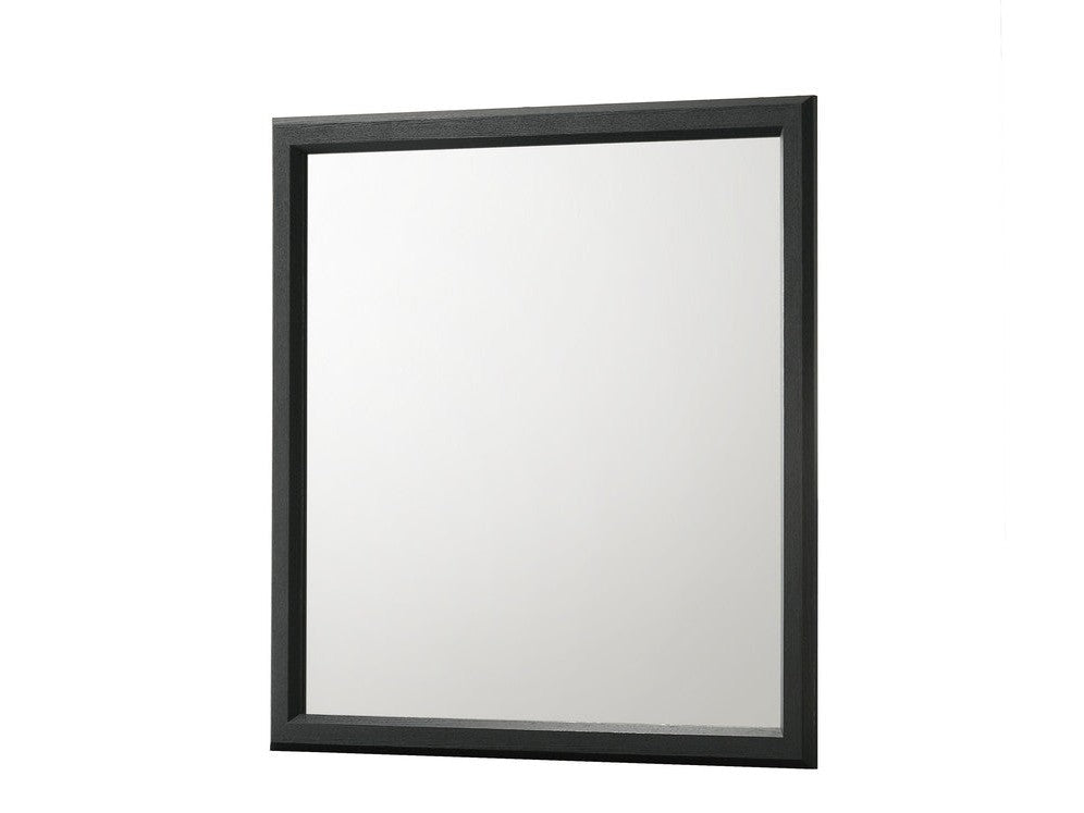 Charlie Charcoal Dresser Mirror - Ornate Home