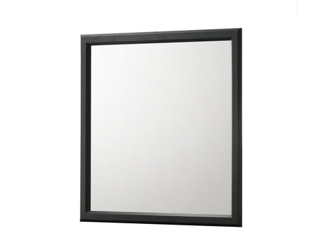 Charlie Charcoal Dresser Mirror - Ornate Home