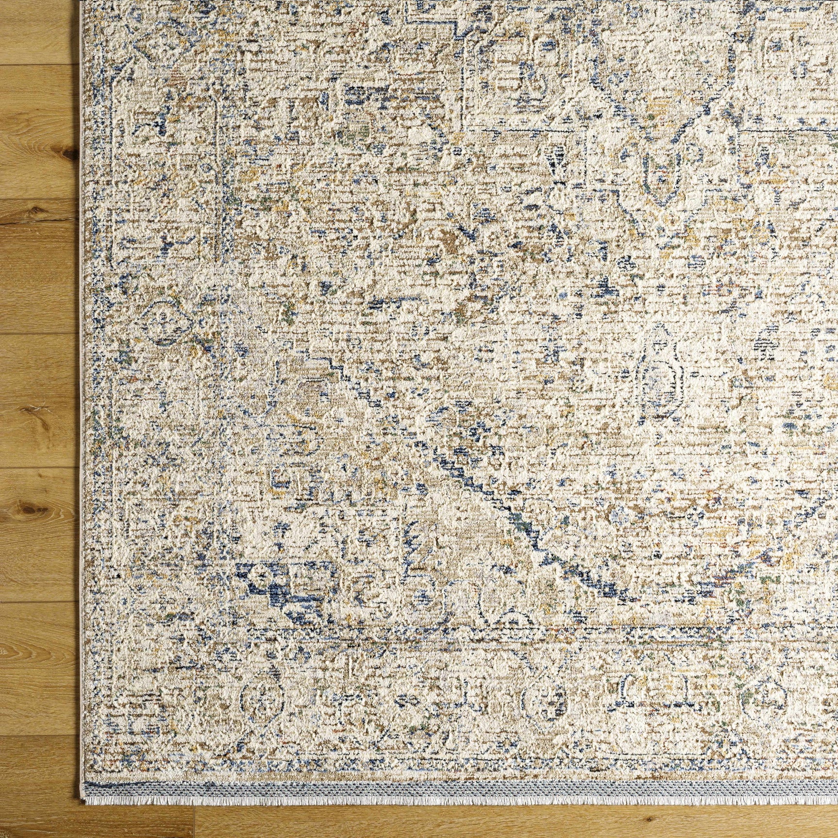 Charo Dusty Sage Area Rug - Ornate Home
