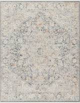 Charo Light Gray Area Rug - Ornate Home