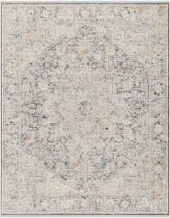 Charo Light Gray Area Rug - Ornate Home