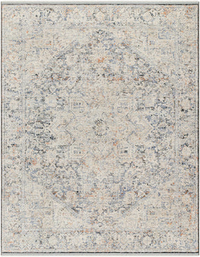 Charo Light Gray Area Rug - Ornate Home