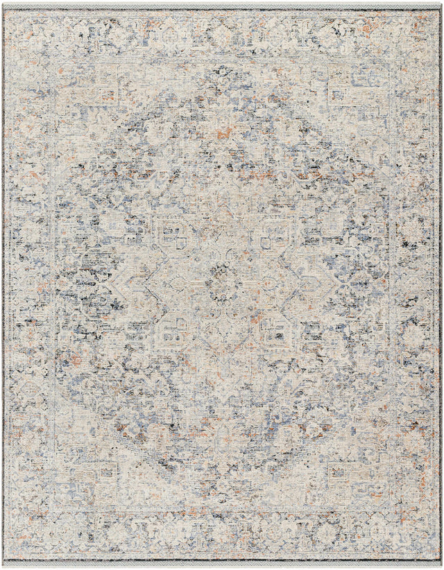 Charo Light Gray Area Rug - Ornate Home