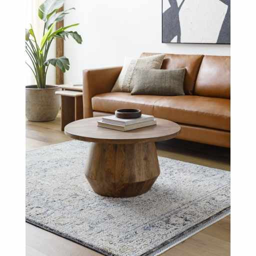 Charo Light Gray Area Rug - Ornate Home