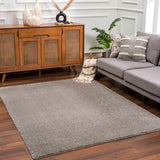 Charven Charcoal Subtle Wavy Abstract Modern Minimalist Polyester Machine Woven Area Rug - Clearance - Ornate Home