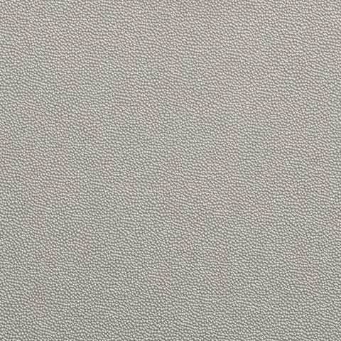 Chaseton Champagne Accent Cabinet - Ornate Home