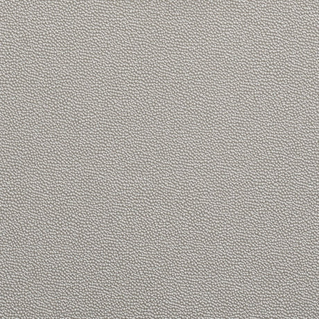 Chaseton Champagne Accent Cabinet - Ornate Home