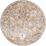 Chavi Washable Area Rug - Clearance - Ornate Home