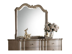 Chelmsford Landscape Mirror in Antique Taupe - Ornate Home