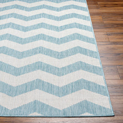Cheri Thatch Light Blue Outdoor Carpet Area Rug - Clearance - Ornate Home