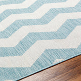 Cheri Thatch Light Blue Outdoor Carpet Area Rug - Clearance - Ornate Home