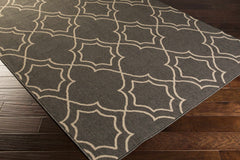 Chertsey Outdoor Area Rug - Clearance - Ornate Home