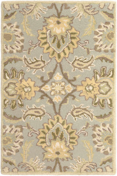 Chesterton Hand Tufted Ivory 1111 Area Rug - Ornate Home