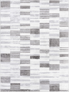 Chiaki Light Gray Area Rug - Ornate Home