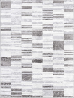 Chiaki Light Gray Area Rug - Ornate Home