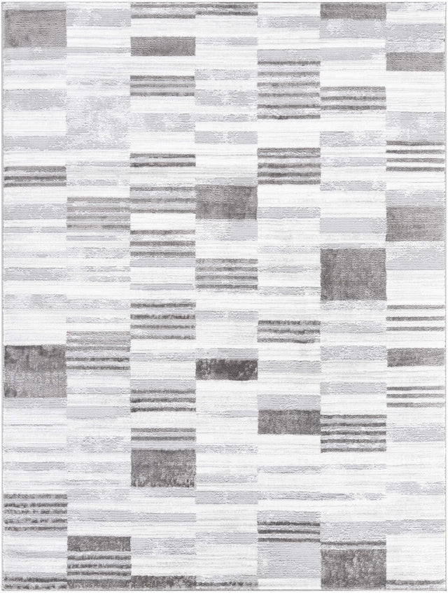 Chiaki Light Gray Area Rug - Ornate Home