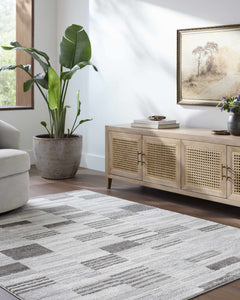 Chiaki Light Gray Area Rug - Ornate Home
