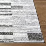 Chiaki Light Gray Area Rug - Ornate Home
