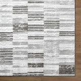 Chiaki Light Gray Area Rug - Ornate Home
