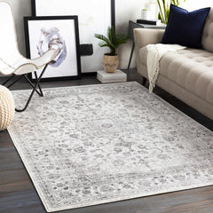 Chicota Area Rug - Ornate Home