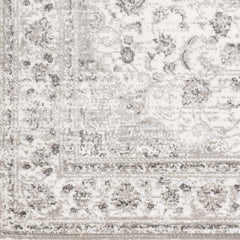 Chicota Area Rug - Ornate Home