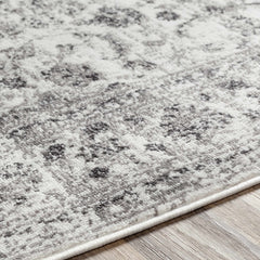 Chicota Area Rug - Ornate Home