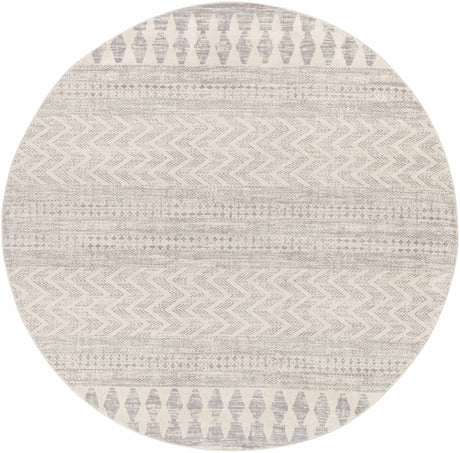 Chinnor Area Rug - Clearance - Ornate Home