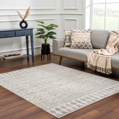 Chinnor Area Rug - Clearance - Ornate Home
