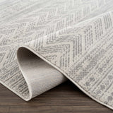 Chinnor Area Rug - Clearance - Ornate Home