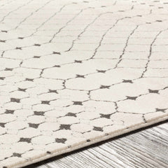 Chubbuck Moroccan Trellis Rug - Clearance - Ornate Home