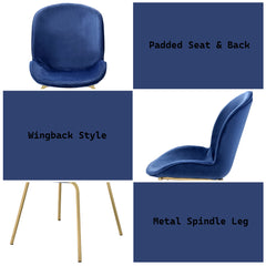 Chuchip Blue Velvet & Gold Side Chair (Set of 2) - Ornate Home