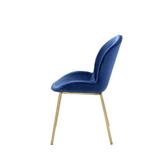 Chuchip Blue Velvet & Gold Side Chair (Set of 2) - Ornate Home