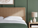 Cielden Two-tone King Panel Bed (Online Special Price) - Ornate Home