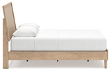 Cielden Two-tone Queen Panel Bed & Dresser & Mirror & Nightstand (Online Special Price) - Ornate Home