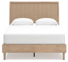Cielden Two-tone Queen Panel Bed & Dresser & Mirror & Nightstand - Ornate Home