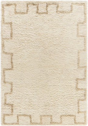 Ciniod Area Rug - Ornate Home