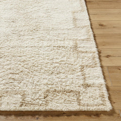 Ciniod Area Rug - Ornate Home