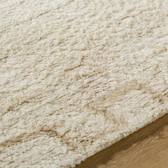 Ciniod Area Rug - Ornate Home