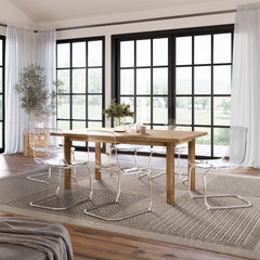 Clarity Transparent Dining Chair (Set of 2) - Ornate Home