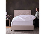 Classic Cotton White King Sheet Set - Ornate Home
