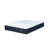 Classic Dorian 12.5" Off-White/Multicolor Twin XL Plush Euro Top Mattress - Ornate Home