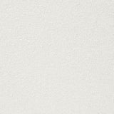 Clayten Beige & Espreeso Side Chair (Set of 2) - Ornate Home