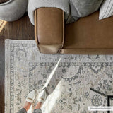 Clee Area Rug - Clearance - Ornate Home