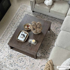 Clee Area Rug - Clearance - Ornate Home