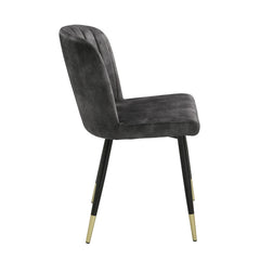 Clemente Charcoal Side Chair (Set of 2) - Ornate Home