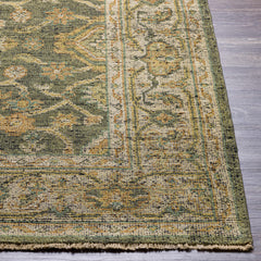 Clunes Area Rug - Clearance - Ornate Home