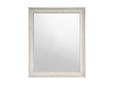 Coalesce Rolling Fog Accent Mirror - Ornate Home