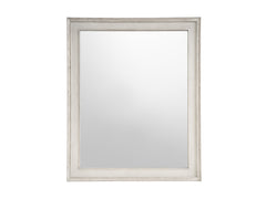 Coalesce Rolling Fog Accent Mirror - Ornate Home